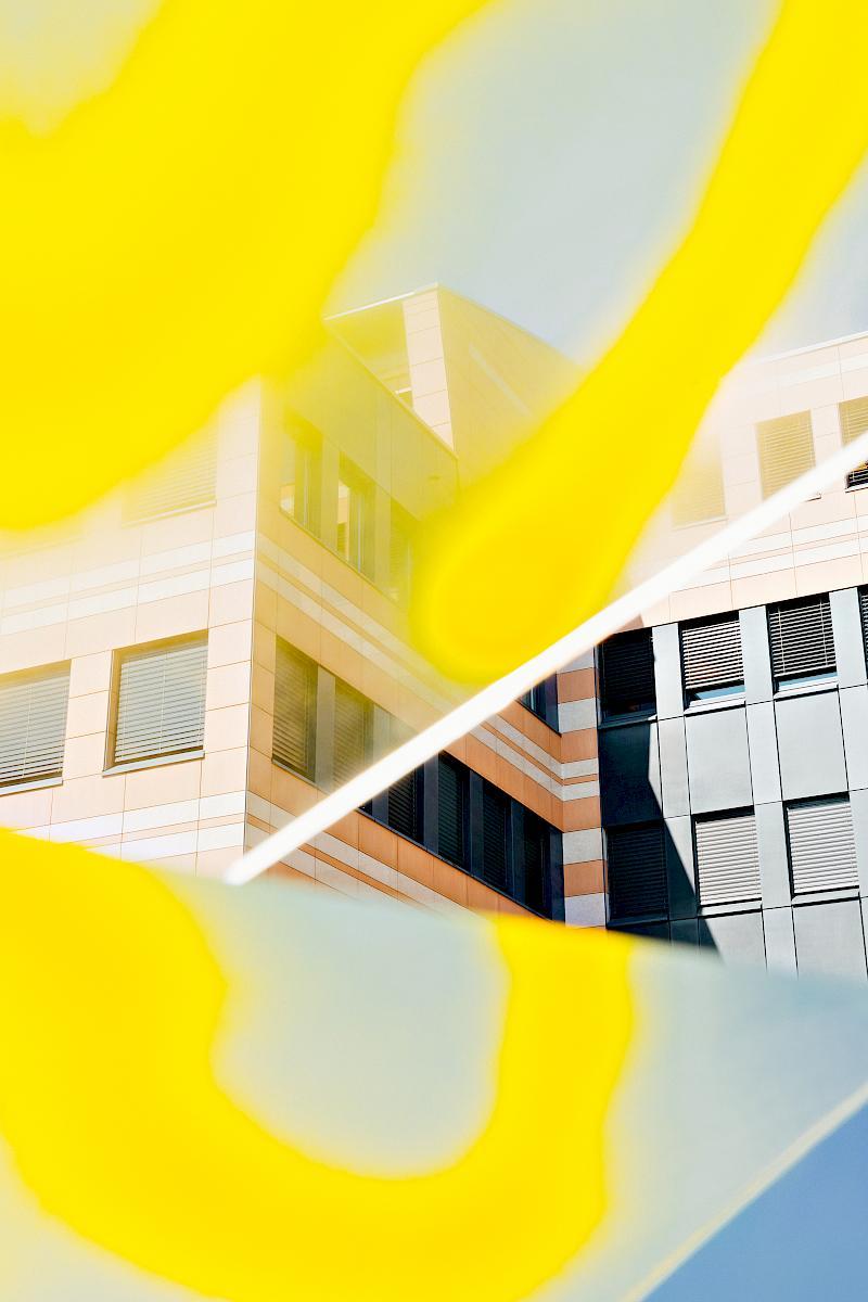 Yellow graffiti on glass in front of a building in Olten